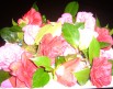 130517120106.jpg